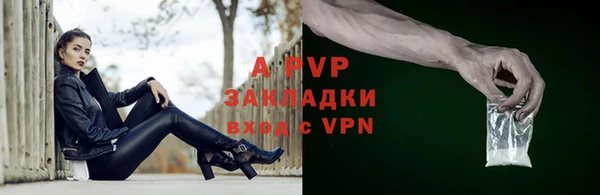 гидра Киренск