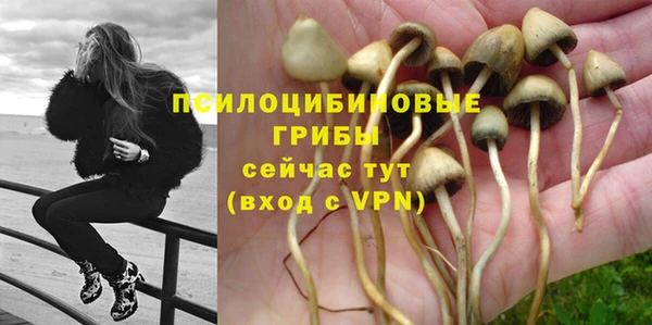 гидра Киренск