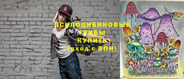 прущие грибы Козельск