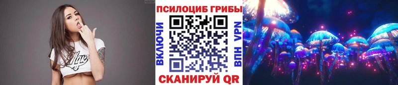 Купить где  Балабаново  Псилоцибиновые грибы ЛСД 
